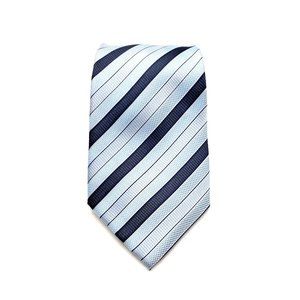 Alex Mishra Men Dress Tie 100% Polyester Designer Accessory Business Office Gift